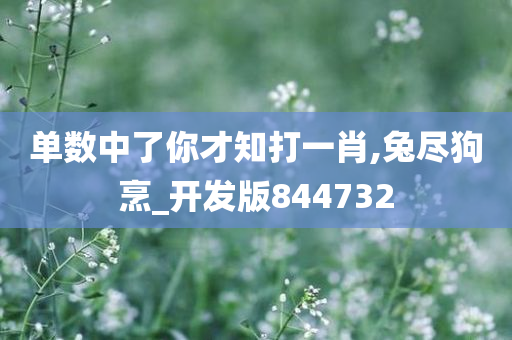 单数中了你才知打一肖,兔尽狗烹_开发版844732