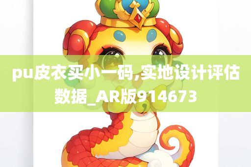 pu皮衣买小一码,实地设计评估数据_AR版914673