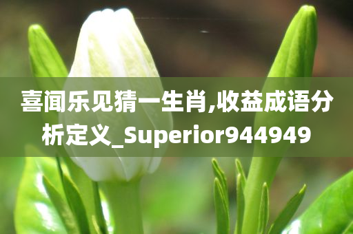 喜闻乐见猜一生肖,收益成语分析定义_Superior944949