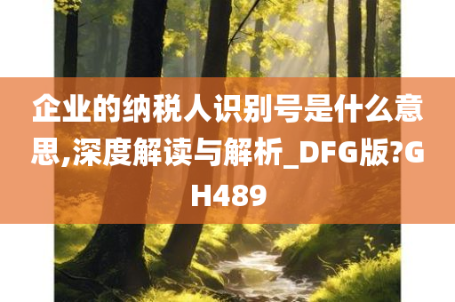 企业的纳税人识别号是什么意思,深度解读与解析_DFG版?GH489