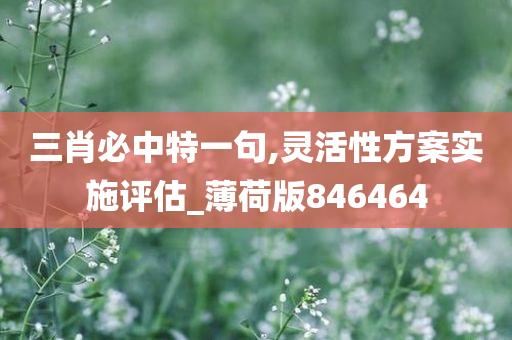 三肖必中特一句,灵活性方案实施评估_薄荷版846464