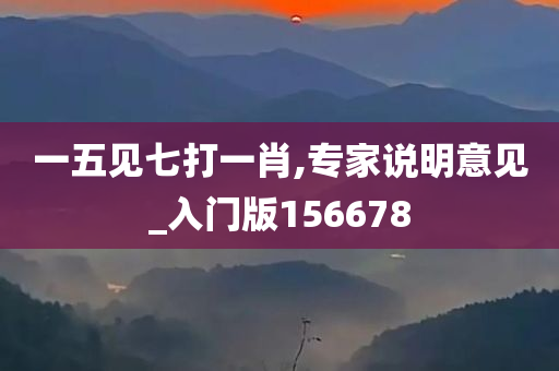 一五见七打一肖,专家说明意见_入门版156678