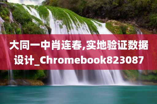 大同一中肖连春,实地验证数据设计_Chromebook823087