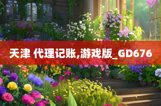 天津 代理记账,游戏版_GD676