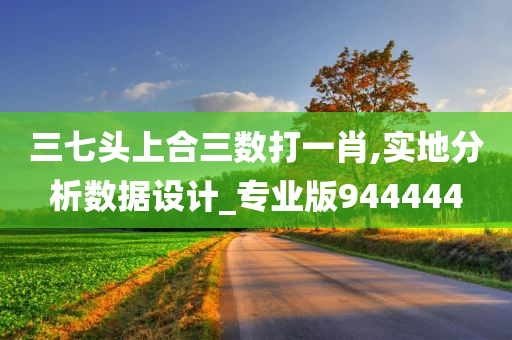 三七头上合三数打一肖,实地分析数据设计_专业版944444