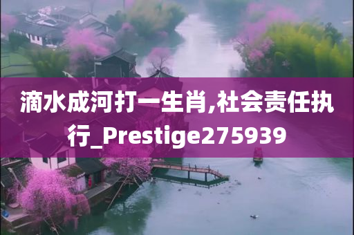 滴水成河打一生肖,社会责任执行_Prestige275939