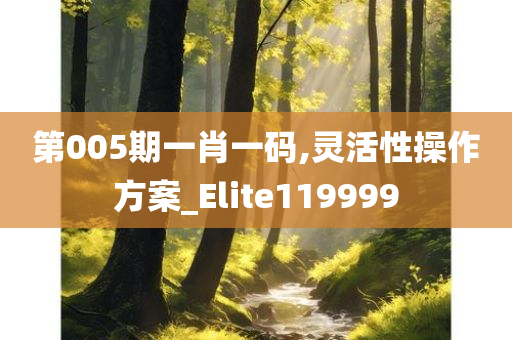 第005期一肖一码,灵活性操作方案_Elite119999