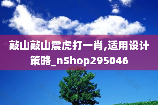 敲山敲山震虎打一肖,适用设计策略_nShop295046