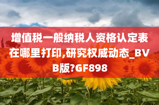 增值税一般纳税人资格认定表在哪里打印,研究权威动态_BVB版?GF898