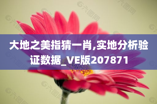 大地之美指猜一肖,实地分析验证数据_VE版207871