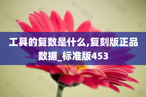 工具的复数是什么,复刻版正品数据_标准版453