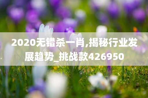 2020无错杀一肖,揭秘行业发展趋势_挑战款426950