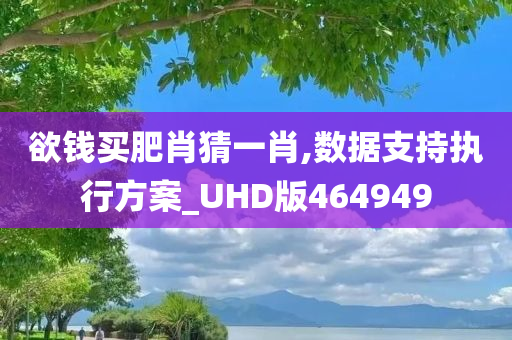 欲钱买肥肖猜一肖,数据支持执行方案_UHD版464949