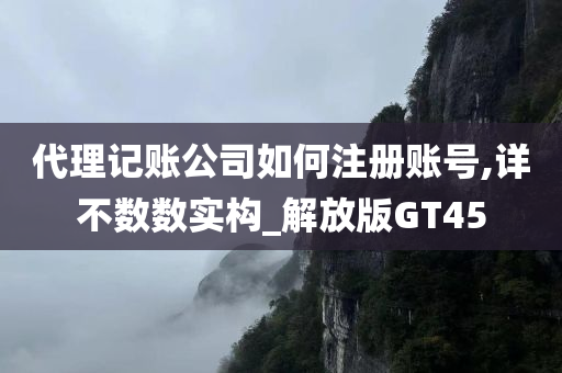 代理记账公司如何注册账号,详不数数实构_解放版GT45