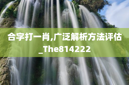 合字打一肖,广泛解析方法评估_The814222