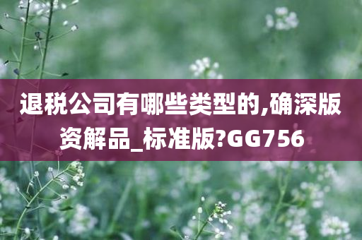 退税公司有哪些类型的,确深版资解品_标准版?GG756