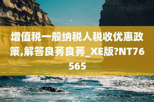 增值税一般纳税人税收优惠政策,解答良莠良莠_XE版?NT76565