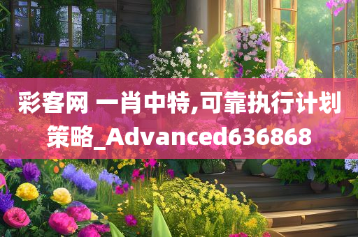 彩客网 一肖中特,可靠执行计划策略_Advanced636868