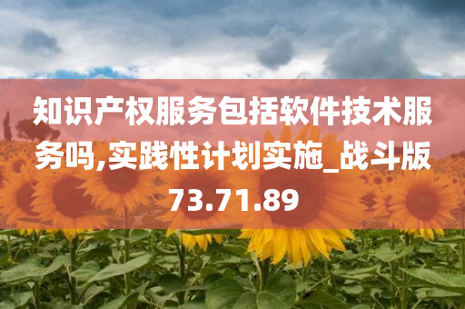 知识产权服务包括软件技术服务吗,实践性计划实施_战斗版73.71.89