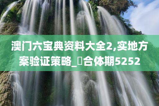 澳门六宝典资料大全2,实地方案验证策略_?合体期5252