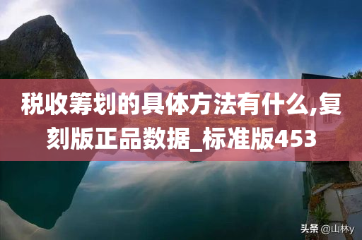 税收筹划的具体方法有什么,复刻版正品数据_标准版453