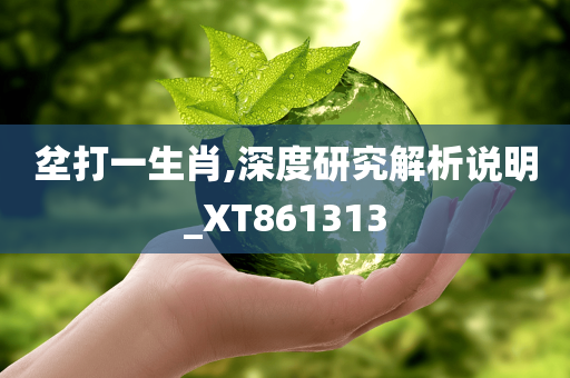 坌打一生肖,深度研究解析说明_XT861313