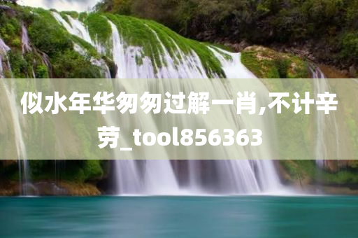 似水年华匆匆过解一肖,不计辛劳_tool856363