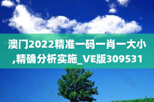 澳门2022精准一码一肖一大小,精确分析实施_VE版309531