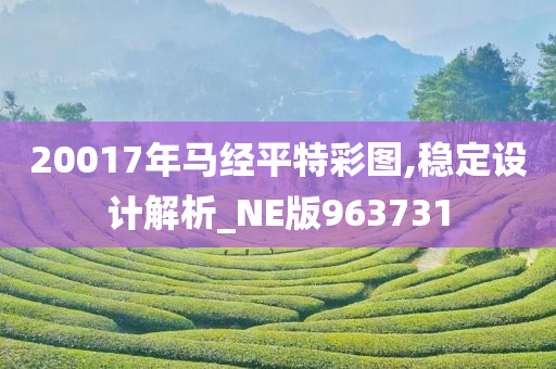 20017年马经平特彩图,稳定设计解析_NE版963731