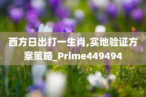 西方日出打一生肖,实地验证方案策略_Prime449494