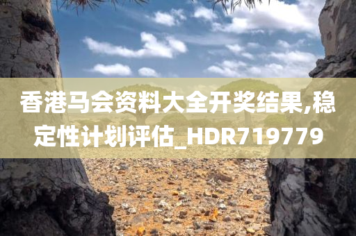 香港马会资料大全开奖结果,稳定性计划评估_HDR719779