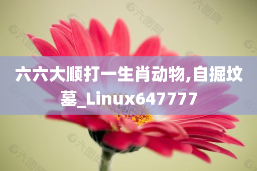 六六大顺打一生肖动物,自掘坟墓_Linux647777