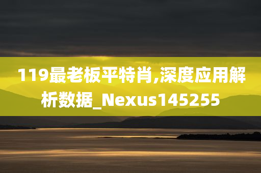 119最老板平特肖,深度应用解析数据_Nexus145255