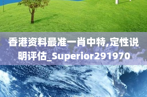 香港资料最准一肖中特,定性说明评估_Superior291970