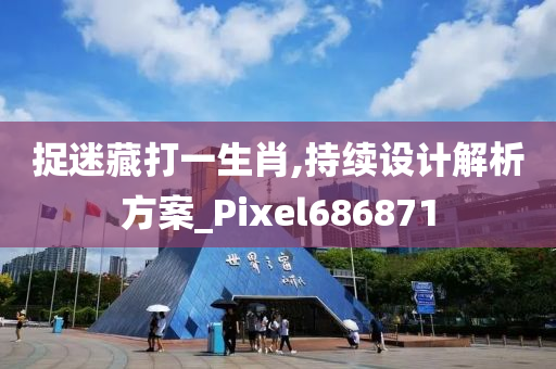 捉迷藏打一生肖,持续设计解析方案_Pixel686871