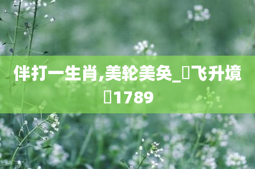 伴打一生肖,美轮美奂_?飞升境?1789