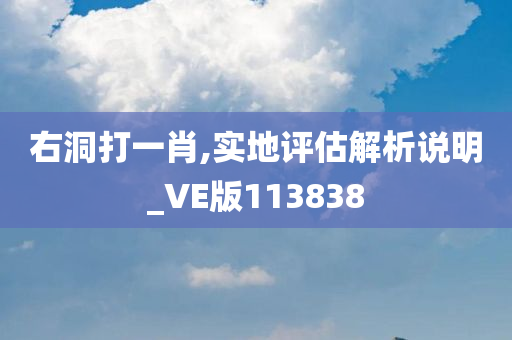 右洞打一肖,实地评估解析说明_VE版113838