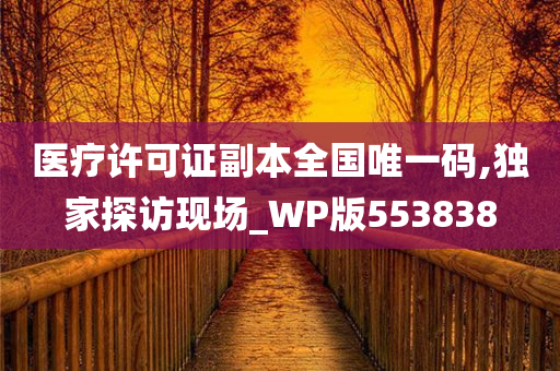 医疗许可证副本全国唯一码,独家探访现场_WP版553838