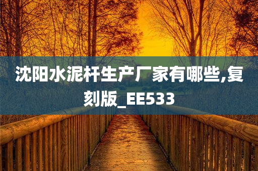 沈阳水泥杆生产厂家有哪些,复刻版_EE533