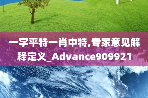 一字平特一肖中特,专家意见解释定义_Advance909921