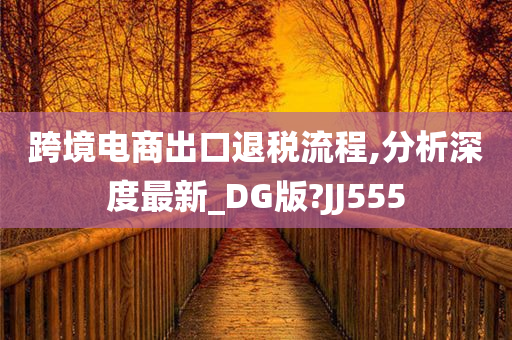 跨境电商出口退税流程,分析深度最新_DG版?JJ555