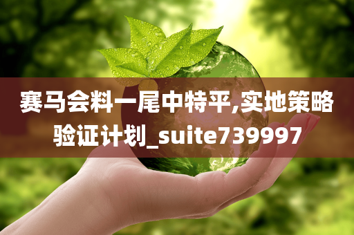 赛马会料一尾中特平,实地策略验证计划_suite739997