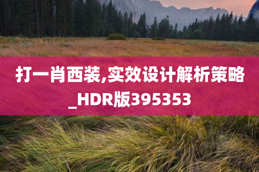 打一肖西装,实效设计解析策略_HDR版395353