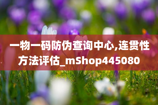 一物一码防伪查询中心,连贯性方法评估_mShop445080