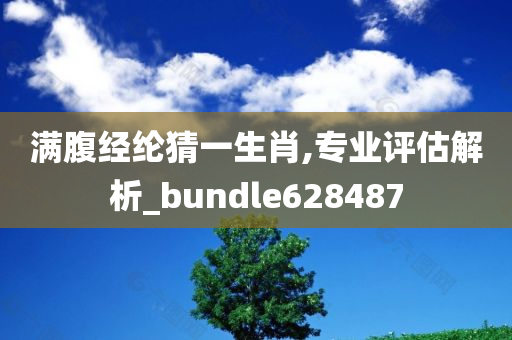 满腹经纶猜一生肖,专业评估解析_bundle628487