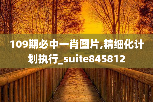 109期必中一肖图片,精细化计划执行_suite845812