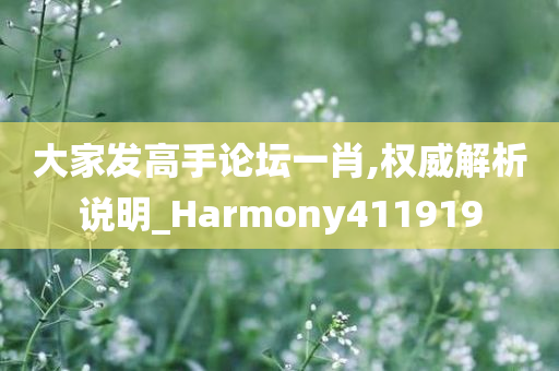 大家发高手论坛一肖,权威解析说明_Harmony411919