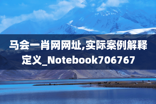 马会一肖网网址,实际案例解释定义_Notebook706767