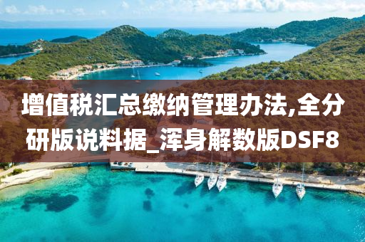 增值税汇总缴纳管理办法,全分研版说料据_浑身解数版DSF8