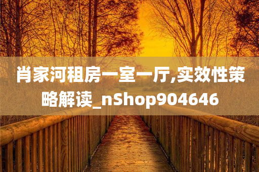 肖家河租房一室一厅,实效性策略解读_nShop904646